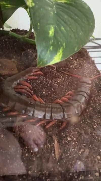 What is happening?? Urgent!