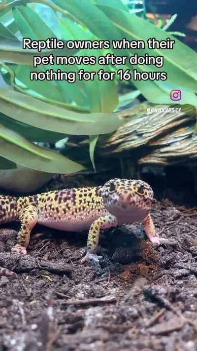 May have been posted before, but it made me chuckle.