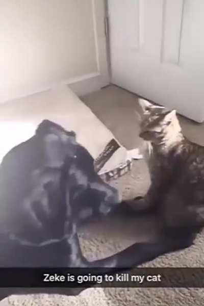 Two friends growing up