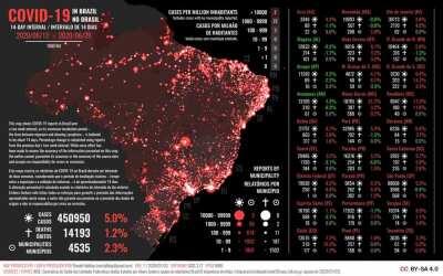Animação que mostra o avanço da COVID-19 no Brasil até o final de agosto. Cada quadro mostra a quantidade de casos, óbitos e municipalidades afetadas em 14 dias.