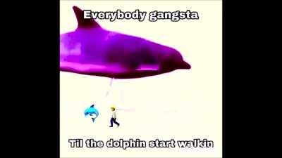 🅱️olphin
