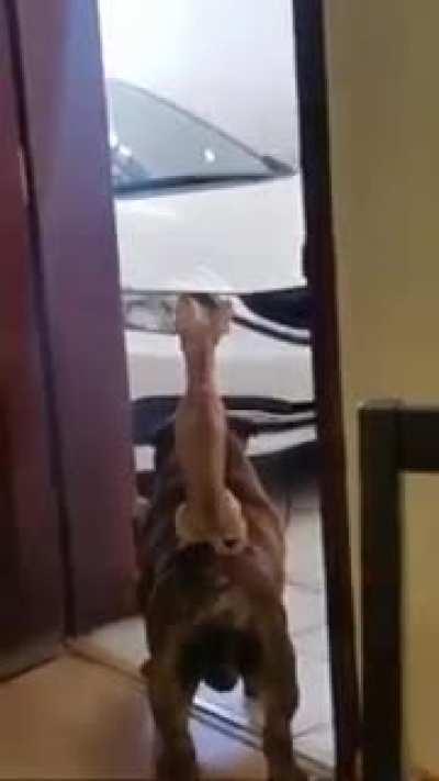 The guards are not asleep