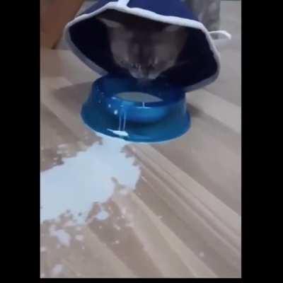 She&rsquo;s the spoiled one