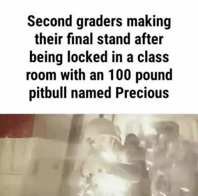 i stole this 🐟🐟🐟🐟