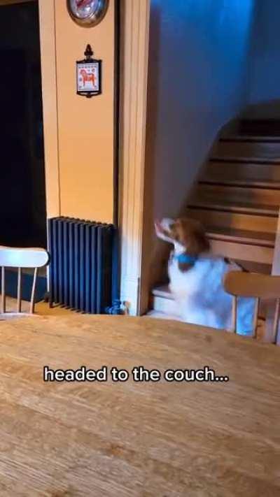 No coffee thanks; my people need me