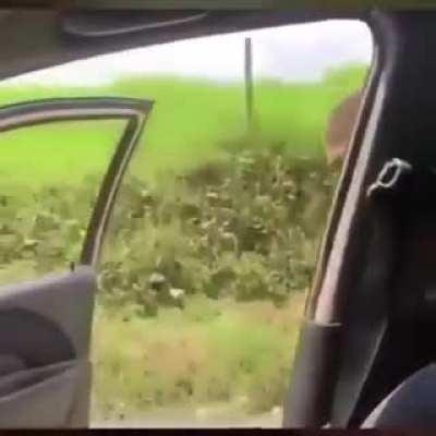 No matter what Language you know exactly what he is saying!