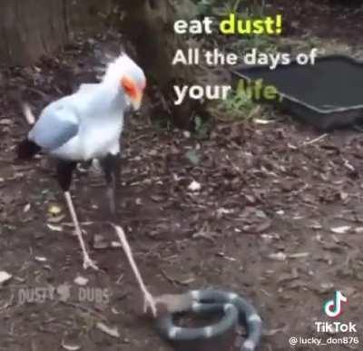 He was the original dirt dEVIL