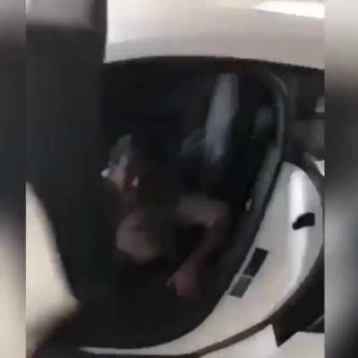 HMB while I present my lambo