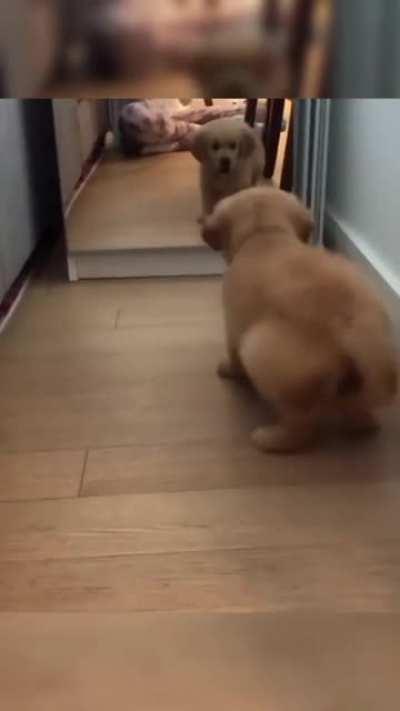 When you are in shock at how beautiful you look