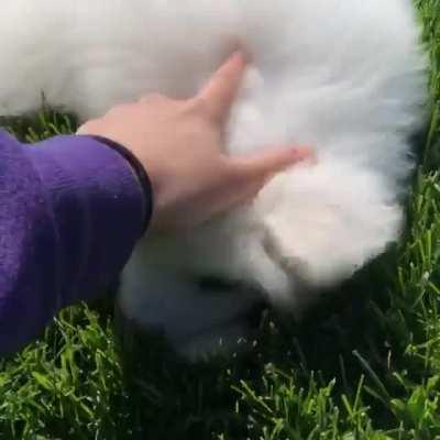 Sleepily enjoying the nice weather today ☀️🐻‍❄️