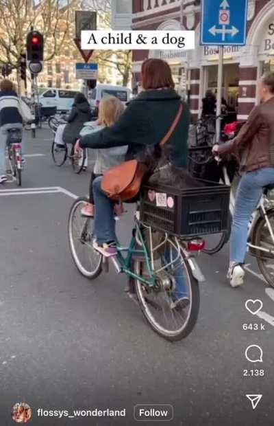 Most Dutch thing ever