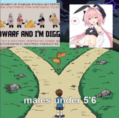 which will you choose