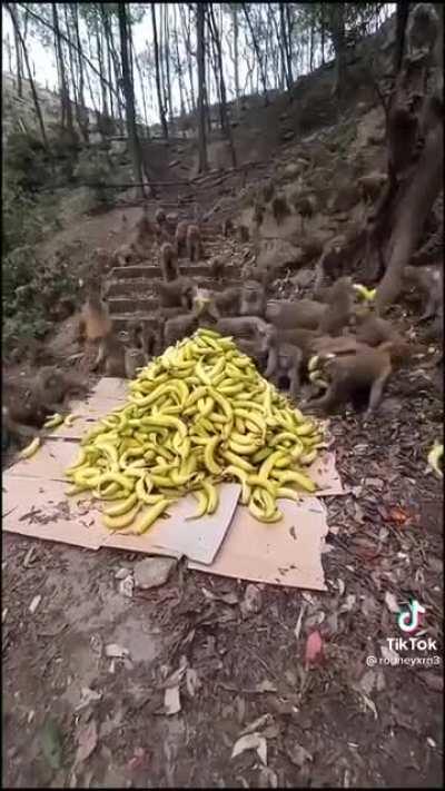 Monday morning opening bell be like!!!