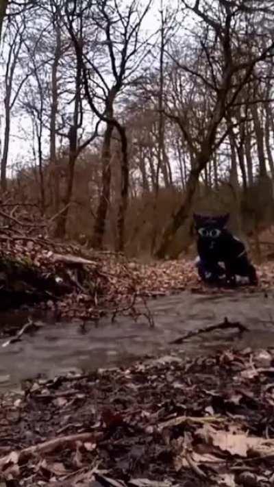 They wanna act like animals, they can be hunted like them