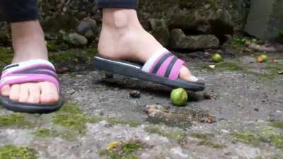 Snail and fruits crushed under flipflops