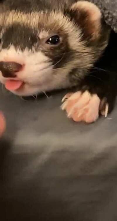 Idk how sticking your tongue out is comfortable, but okay.