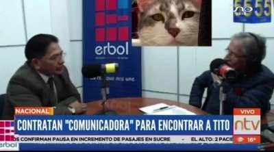 Bolivian minister hires an 