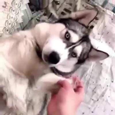 Это просто пранк, бро