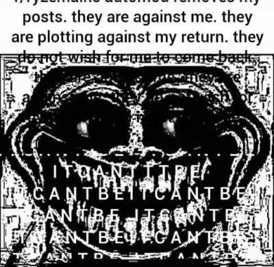 pov:ryzemains automod still removing my posts.