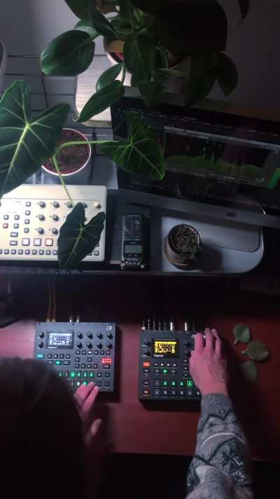 Flipping vocal samples on Digitakt 1 still is my favorite thing