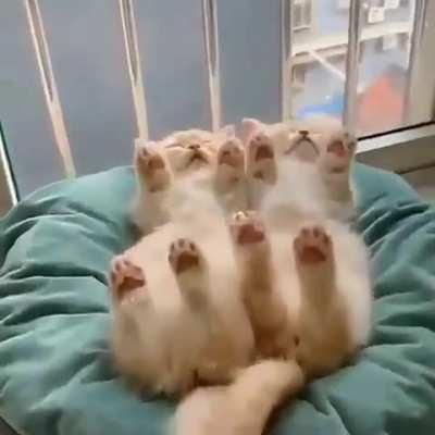 I call this 'Synchronized Sleeping'.....