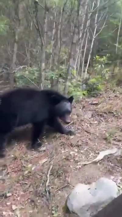 It’s not moving fast enough