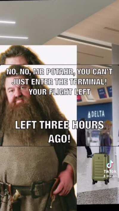 This was a dram of mine | Hagrid at Delta airlines