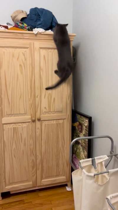 This little glance back to make sure I was watching 😭