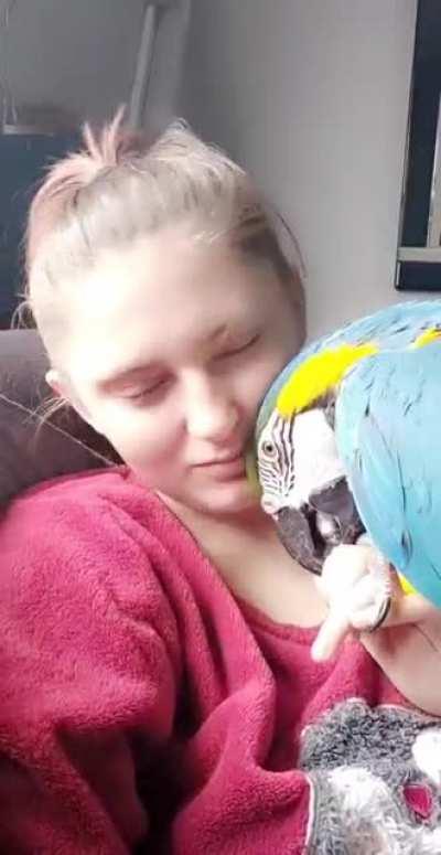 He's a playful cuddly angel.