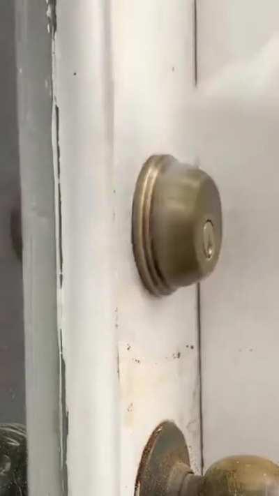 Loosening the back door!