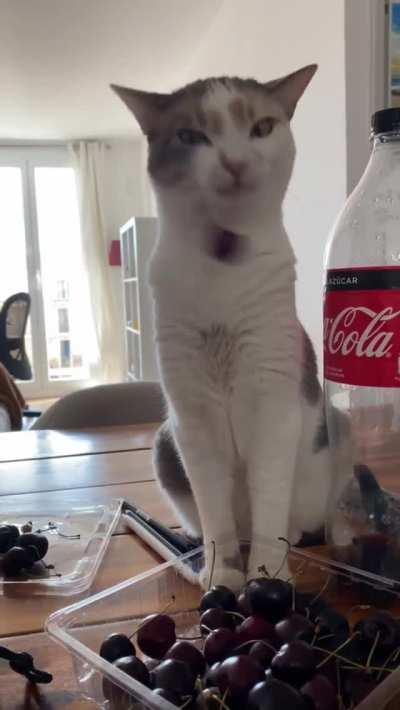 playing with cherries