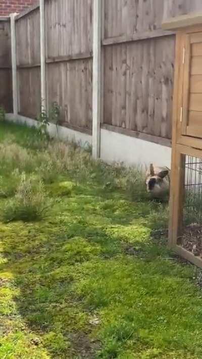 Afterwards she’s like, “did you see that mum 👁”