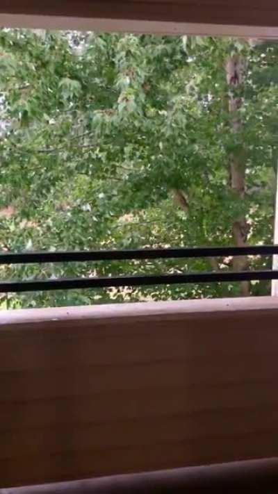 Got some nice rain today