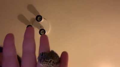 I DIDN'T THINK SHE WOULD DO IT. Why is she like this? No fear. No thoughts. Gecko head empty.