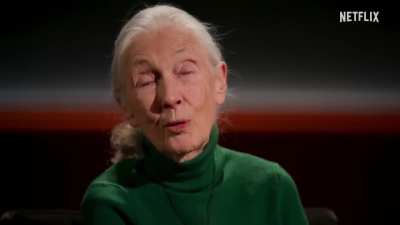 Jane Goodall's Last Words