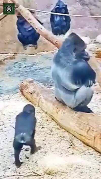 Children are children