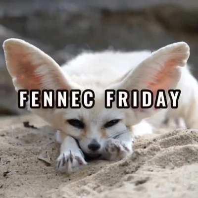 It’s that time again Fen Friends!