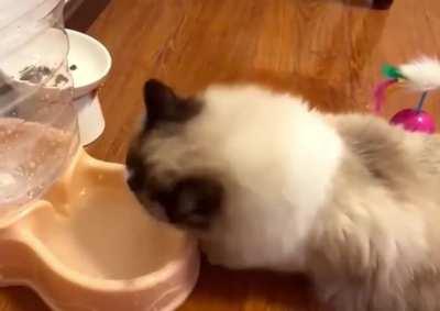 Idk what's wrong with her 