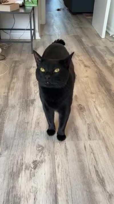 Randall Flagg is *extremely* pissed off that plumbers were here earlier this morning.