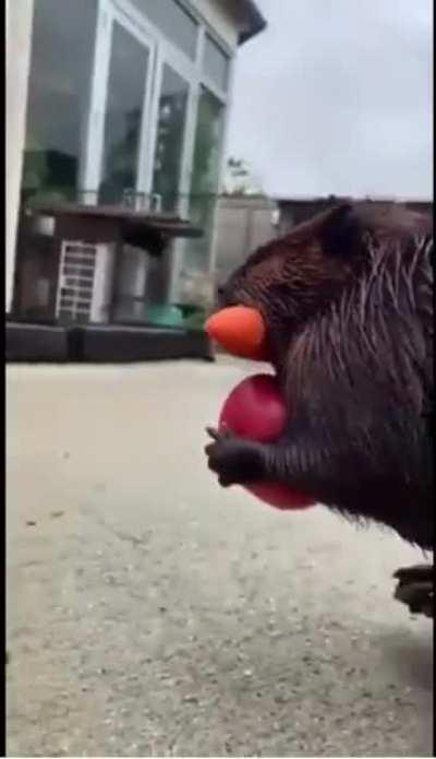 Kai parduotuveje nepasiimi krepselio…