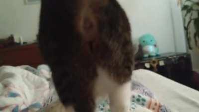 Morning View Of This Asshole