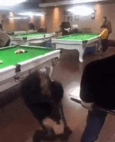 Like in the Great Outdoors