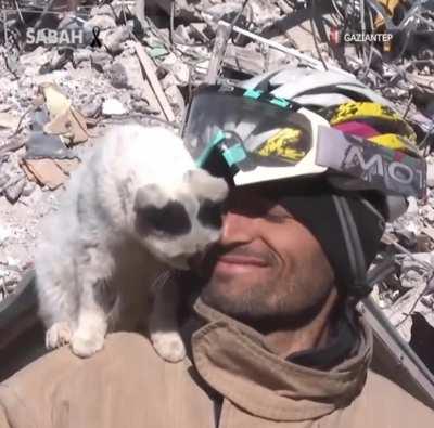 The cat saved by search and rescue teams in Turkey from wreckage has not been leaving the rescue workers for days. Wherever they go, he goes with them