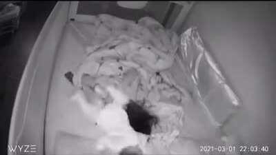 What it’s like sleeping with a baby