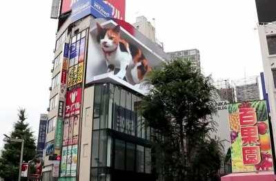 This giant 3d display of calico cat in Shinjuku