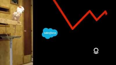 Market F**CK Cockatoo is Back!!