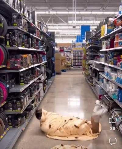 “I’m a Burrito”