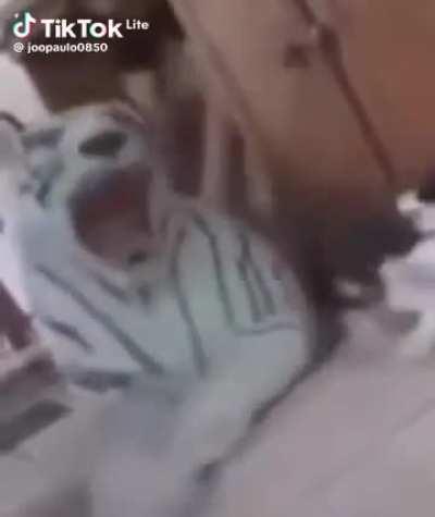 ⚠️aviso: som alto