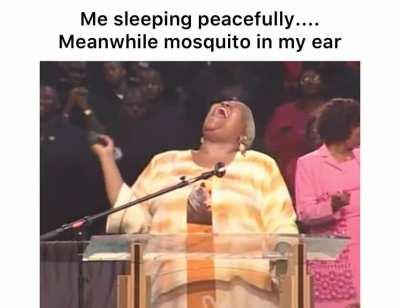 Invest in bug spray ( •_• )