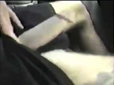 Tommy Lee’s thick floppy cock